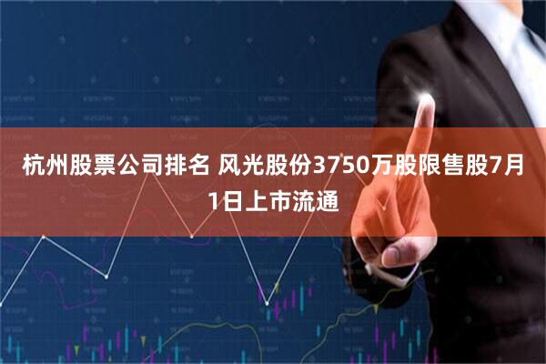 杭州股票公司排名 风光股份3750万股限售股7月1日上市流通